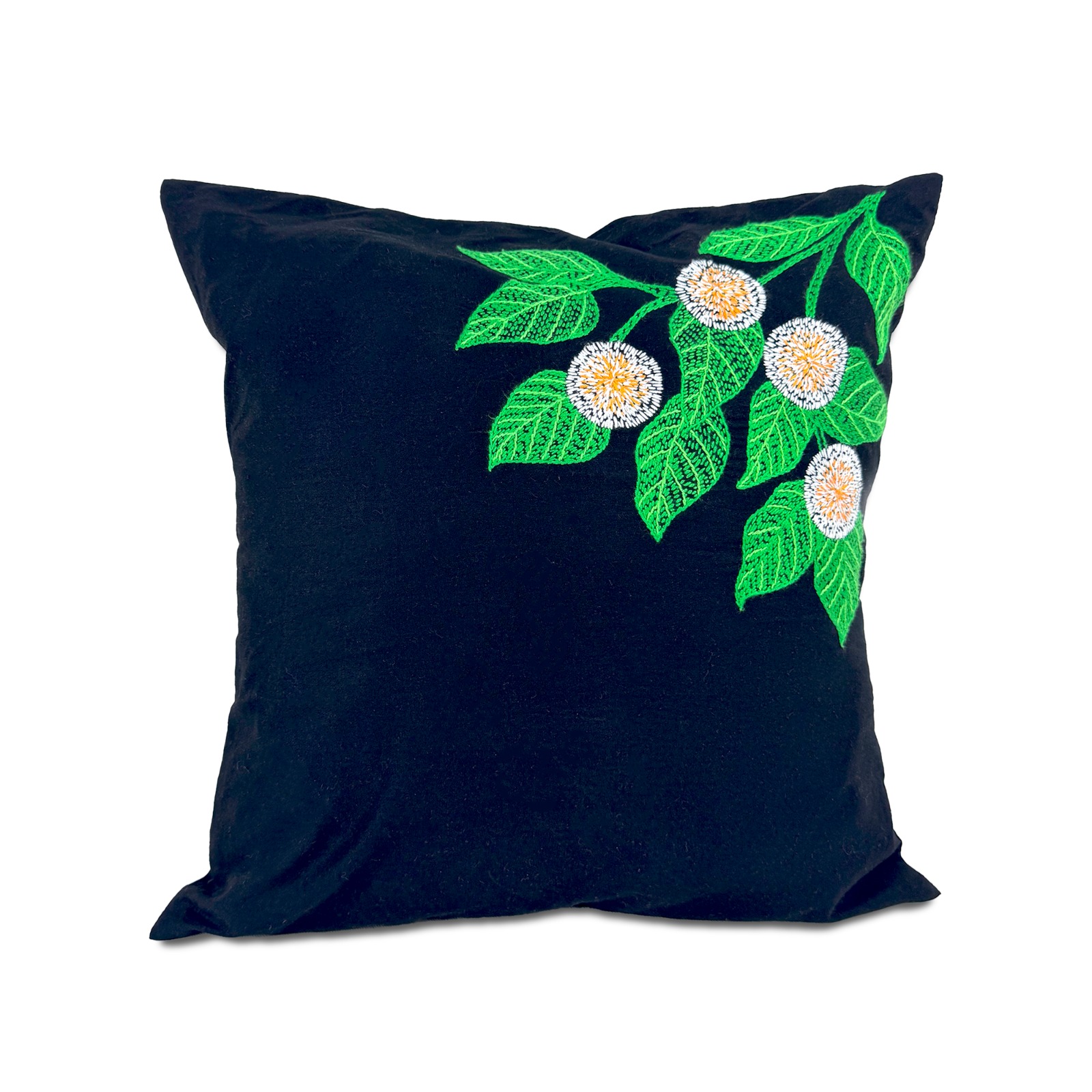 product-img-title